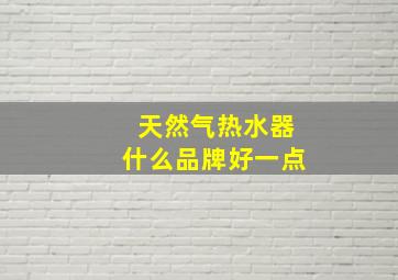 天然气热水器什么品牌好一点