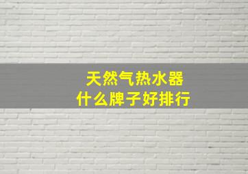 天然气热水器什么牌子好排行