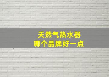 天然气热水器哪个品牌好一点