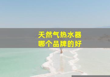 天然气热水器哪个品牌的好