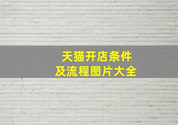 天猫开店条件及流程图片大全