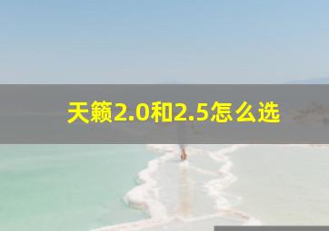 天籁2.0和2.5怎么选