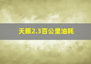 天籁2.3百公里油耗