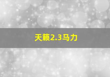 天籁2.3马力