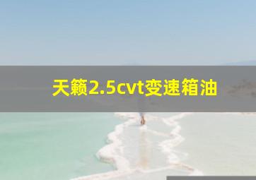 天籁2.5cvt变速箱油