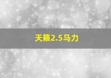 天籁2.5马力