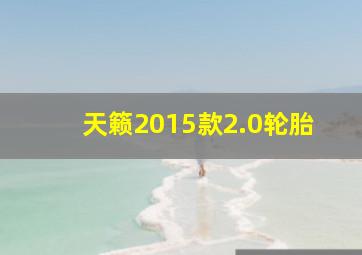 天籁2015款2.0轮胎