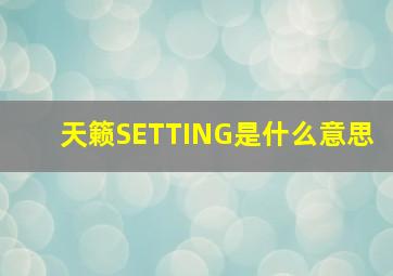 天籁SETTING是什么意思