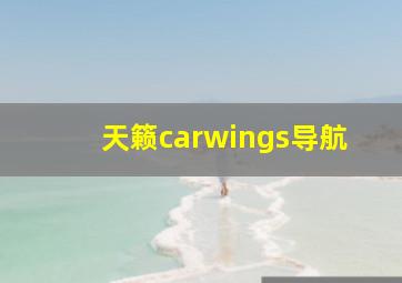 天籁carwings导航