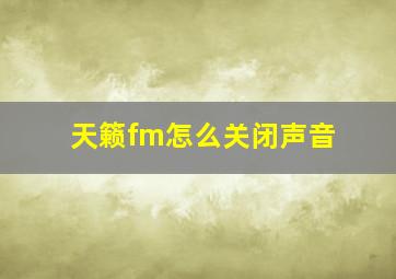 天籁fm怎么关闭声音