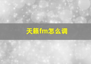 天籁fm怎么调