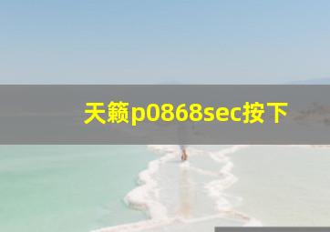 天籁p0868sec按下