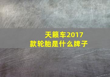 天籁车2017款轮胎是什么牌子