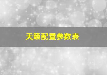 天籁配置参数表