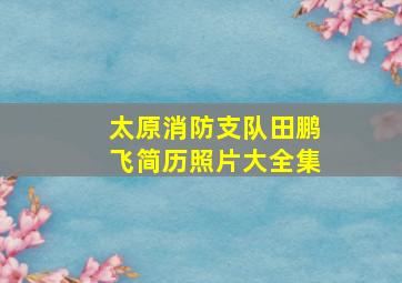 太原消防支队田鹏飞简历照片大全集