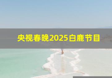 央视春晚2025白鹿节目