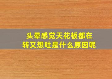 头晕感觉天花板都在转又想吐是什么原因呢