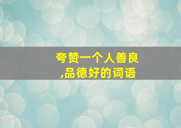 夸赞一个人善良,品德好的词语