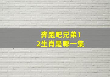 奔跑吧兄弟12生肖是哪一集