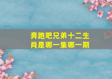 奔跑吧兄弟十二生肖是哪一集哪一期