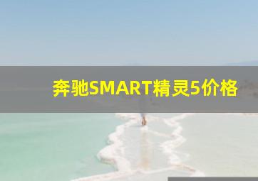 奔驰SMART精灵5价格