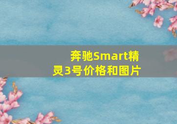 奔驰Smart精灵3号价格和图片