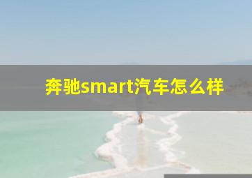 奔驰smart汽车怎么样