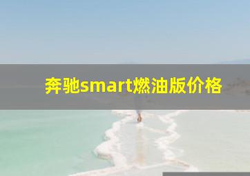 奔驰smart燃油版价格