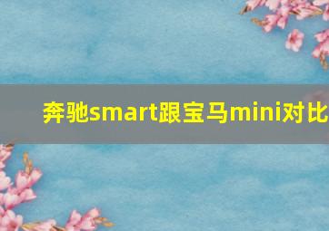 奔驰smart跟宝马mini对比