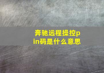 奔驰远程操控pin码是什么意思