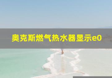 奥克斯燃气热水器显示e0