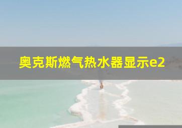 奥克斯燃气热水器显示e2