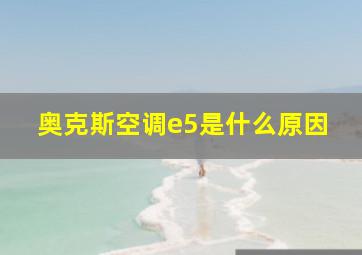 奥克斯空调e5是什么原因