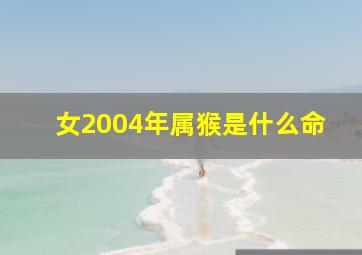 女2004年属猴是什么命