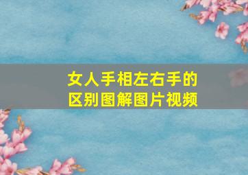 女人手相左右手的区别图解图片视频