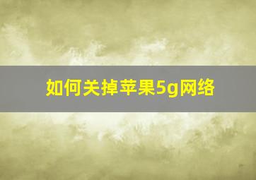 如何关掉苹果5g网络