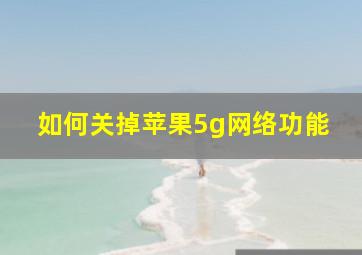 如何关掉苹果5g网络功能