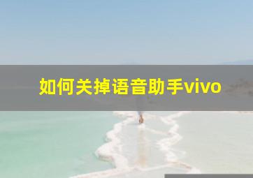 如何关掉语音助手vivo