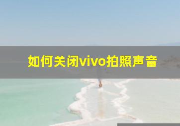 如何关闭vivo拍照声音