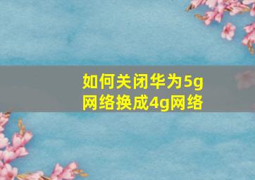 如何关闭华为5g网络换成4g网络