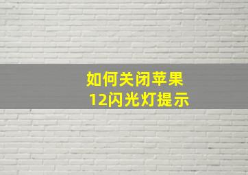 如何关闭苹果12闪光灯提示