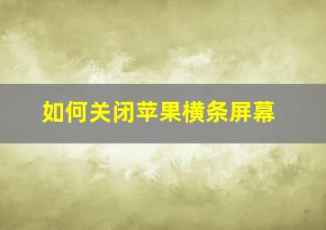 如何关闭苹果横条屏幕