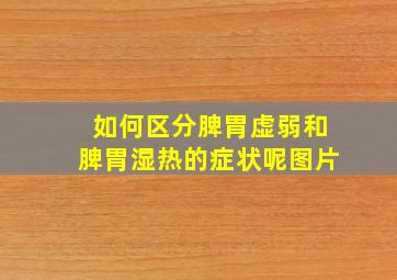 如何区分脾胃虚弱和脾胃湿热的症状呢图片