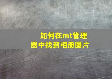 如何在mt管理器中找到相册图片