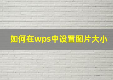 如何在wps中设置图片大小