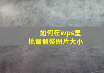 如何在wps里批量调整图片大小