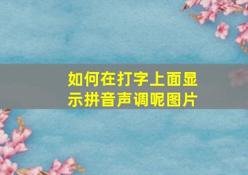 如何在打字上面显示拼音声调呢图片