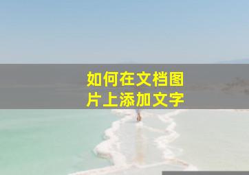 如何在文档图片上添加文字