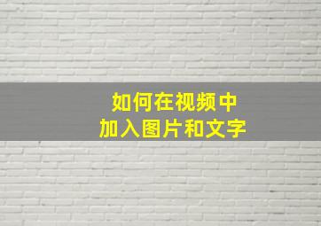 如何在视频中加入图片和文字