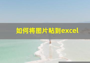 如何将图片粘到excel